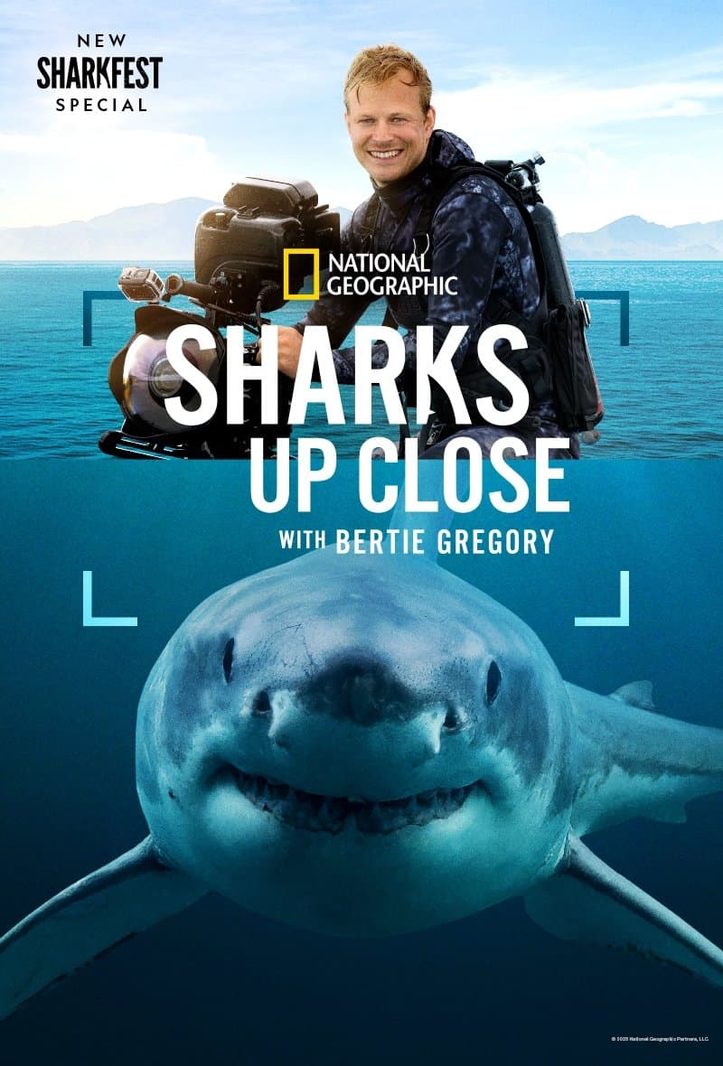Sharks Up Close with Bertie Gregory
