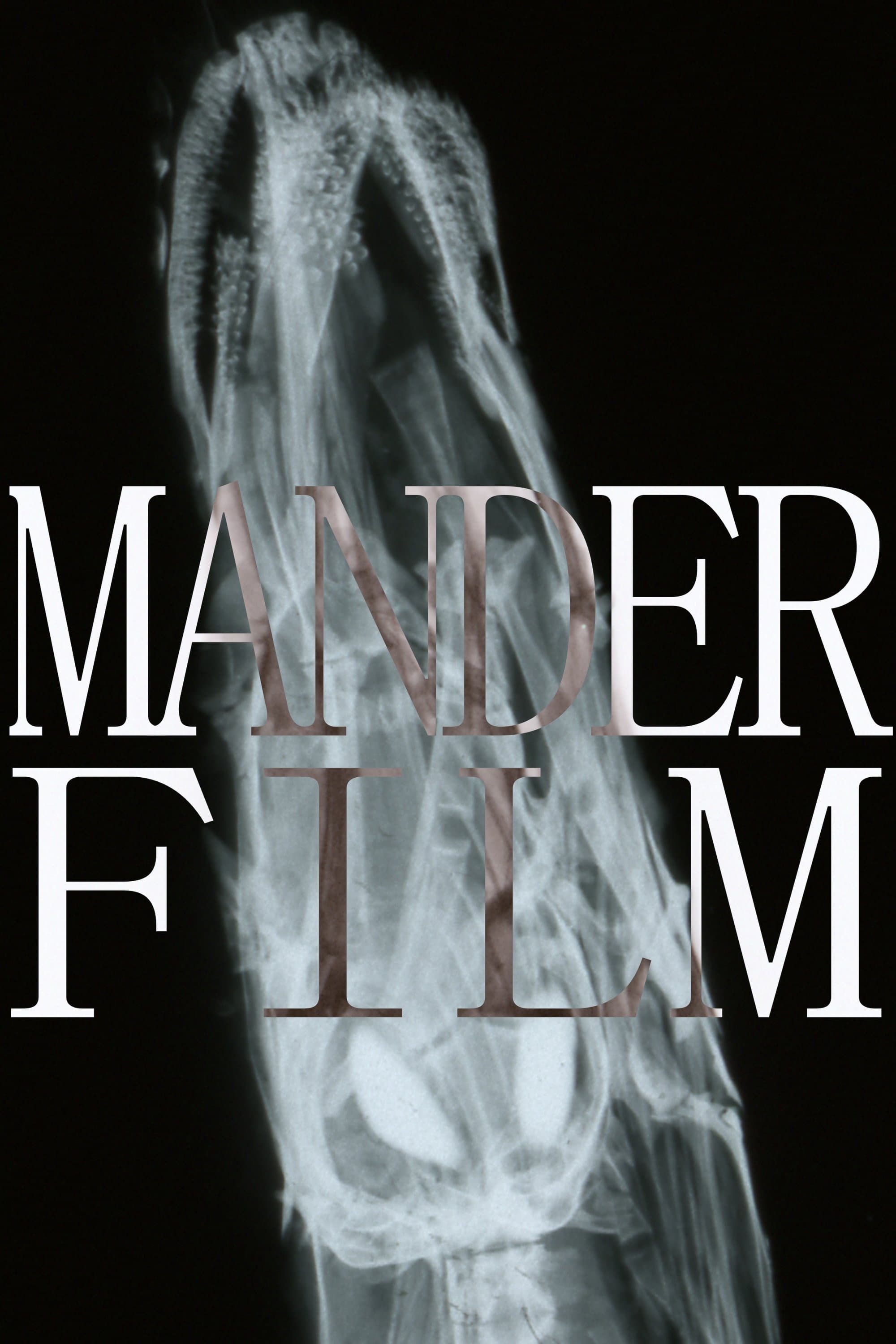 Manderfilm
