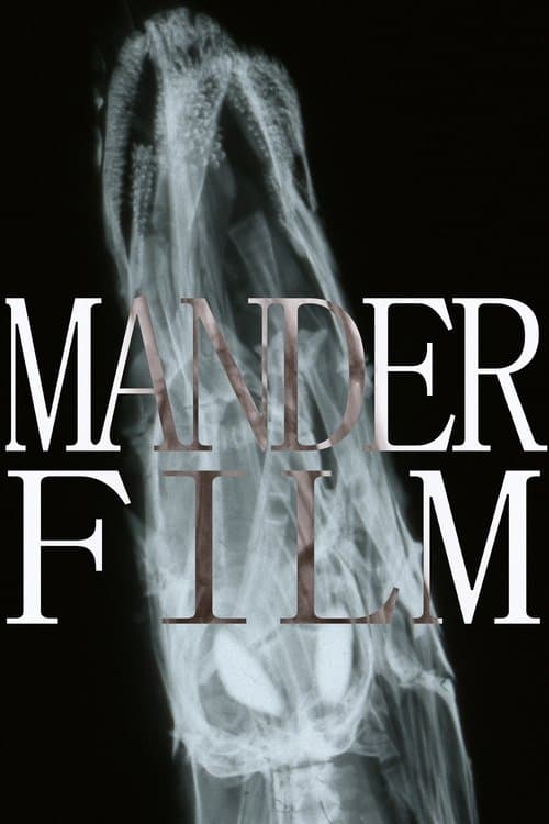 Manderfilm